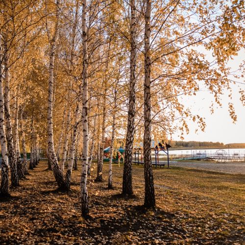 Санаторий "Доволенский" Новосибирск
